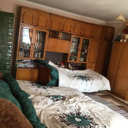 Holiday home Дачний Будинок Putyla